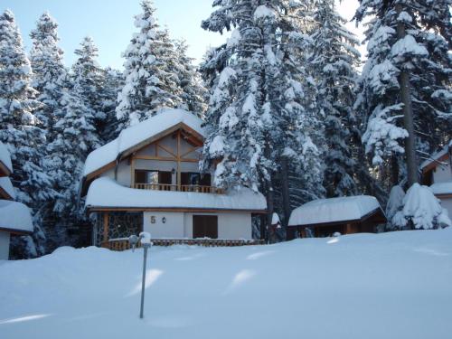 a house covered in snow in front of trees at Saint George Holiday Village in Borovets