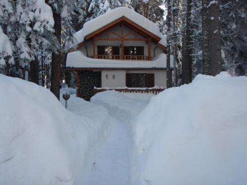 a house covered in snow in the woods at Saint George Holiday Village in Borovets