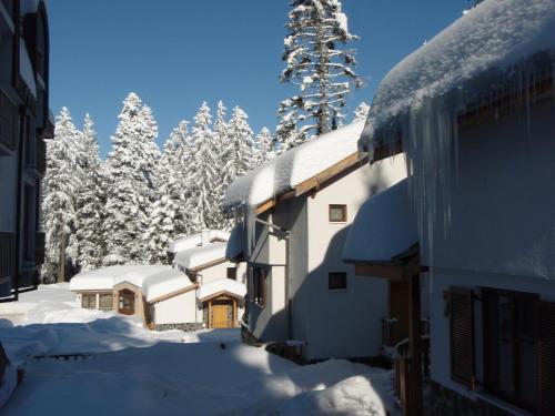 a house covered in snow with trees in the background at Saint George Holiday Village in Borovets
