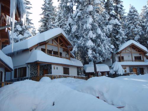 a house covered in snow in front of trees at Saint George Holiday Village in Borovets