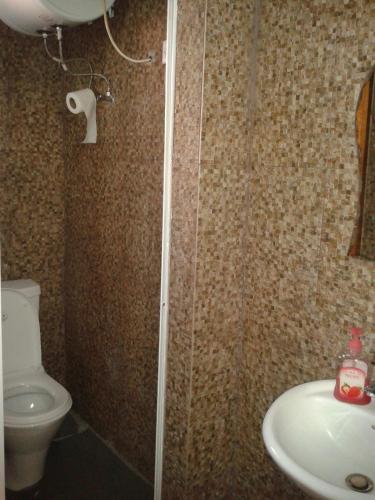 a bathroom with a shower and a toilet and a sink at Misfah Old House in Misfāh