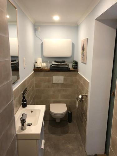 a small bathroom with a toilet and a sink at De Weegbrug in IJzendijke
