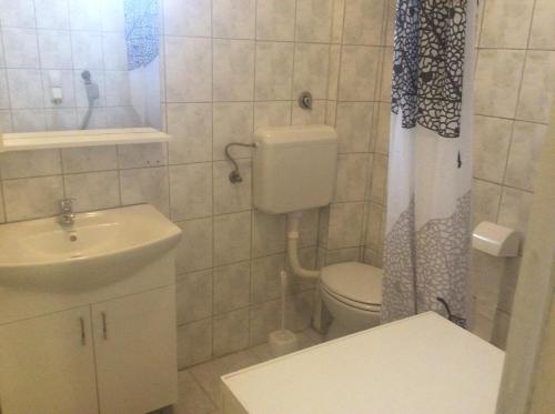 y baño con aseo, lavabo y ducha. en Apartman br.1, en Bijeljina