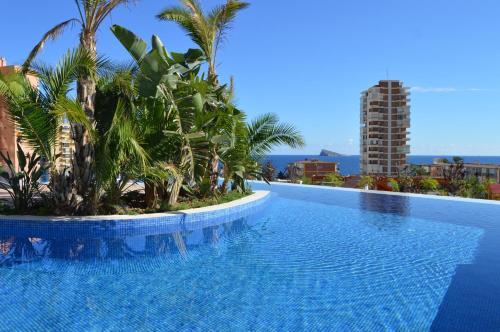 a swimming pool with palm trees and a building at Sunset Drive Exclusive - Benidorm in Benidorm