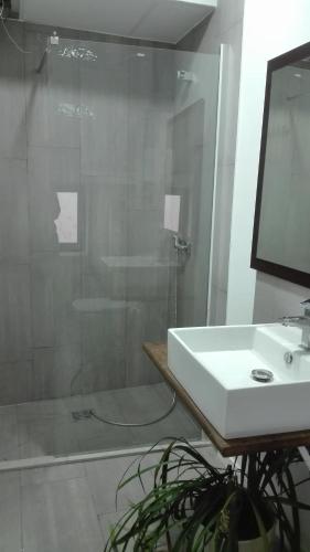 a bathroom with a shower and a sink and a mirror at TOLETUM low cost LOFTS diáfanos o 2dormitorios PARKING Municipal Gratis al aire libre a 100m in Toledo