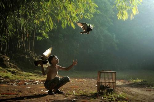 a young boy is playing with two birds at Flame Flowers Homestay in Hoi An