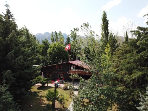 a log cabin in the middle of a forest at Cabañas swissminiatur in Cacheuta