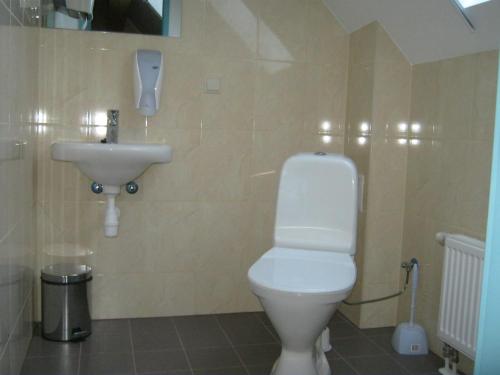a bathroom with a white toilet and a sink at Tehvandi Puhkemaja in Otepää