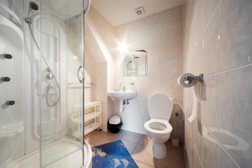 a bathroom with a shower and a toilet and a sink at Penzion Habrovická Bašta in Ústí nad Labem