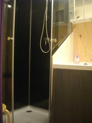 une douche avec une porte vitrée dans une salle de bain dans l'établissement Les chalets d'Alzen, à Alzen