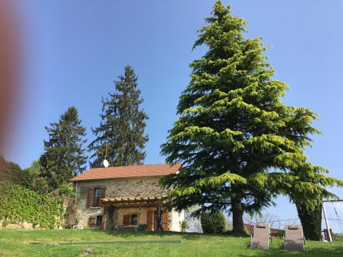 a house with a large tree in front of it at La Ferme du Cayla in Linac