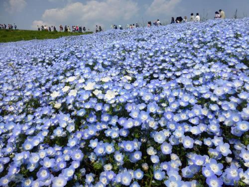 湯泉荘にある庭