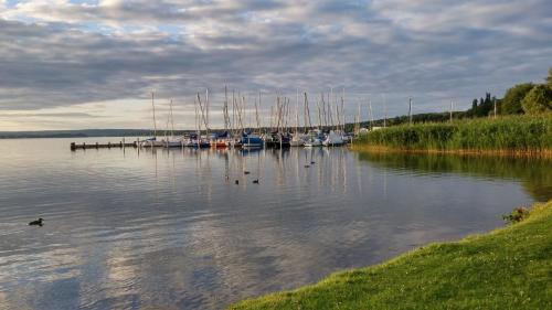 a group of boats docked in a body of water at Seeblick III in Bad Saarow