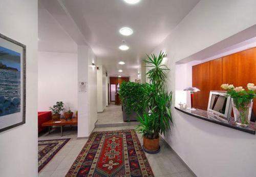 a hallway with plants and a rug on the floor at Hotel Paris in Mestre