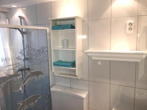 baño con ducha y aseo con estanterías en Ferienwohnung Dettum, en Dettum