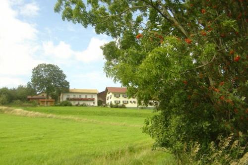un grand champ vert avec une maison en arrière-plan dans l'établissement Birkenhof, à Neukirchen beim Heiligen Blut