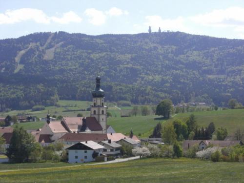 a small village with a church in the middle of a field at Birkenhof in Neukirchen beim Heiligen Blut