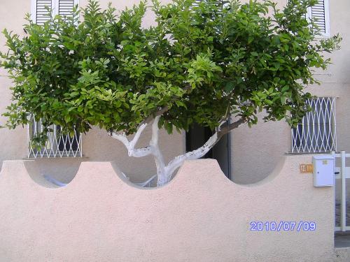 Foto dalla galleria di "The Artist's Home" a Santa Caterina