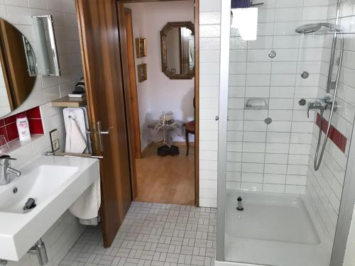 a bathroom with a shower and a sink and a tub at Haus Framinger in Volkach