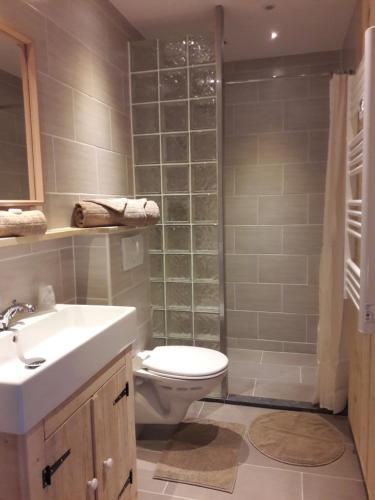 a bathroom with a toilet and a shower and a sink at Domaine Airborne in Angoville-au-Plain