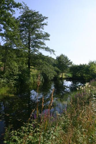 a river with trees and plants in the water at Landgut Stetter in Schöllnach