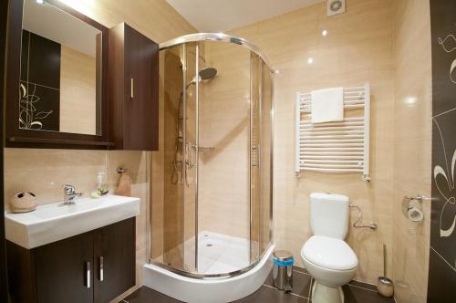 a bathroom with a shower and a toilet and a sink at Pensjonat Magdalena in Szklarska Poręba