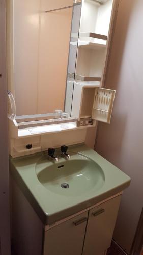 a bathroom with a green sink and a mirror at Pension Baden Heim in Nagasaki