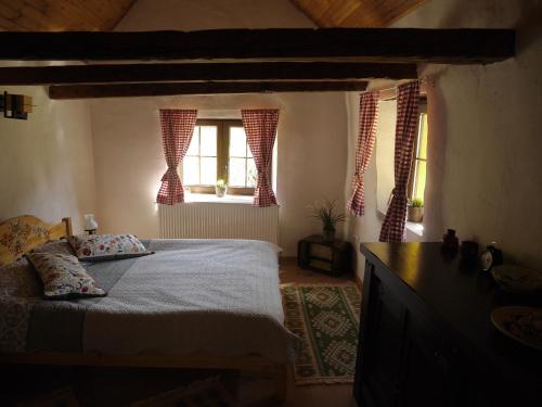 a bedroom with a bed and a window at Oma's Hutte in Cărpiniş