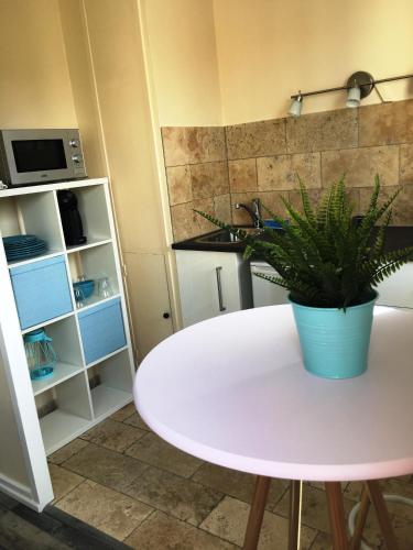 une table blanche avec une plante en pot dans une cuisine dans l'établissement Studio Richelieu 2 et son parking privé, à Villeurbanne