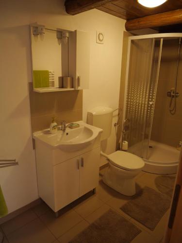 a bathroom with a toilet and a sink and a shower at Oma's Hutte in Cărpiniş