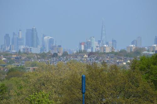 Wimbledon Views photo 12