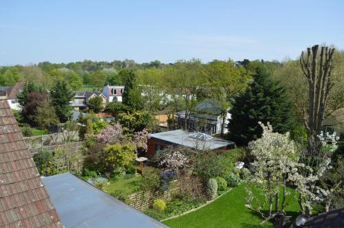 Wimbledon Views photo 6