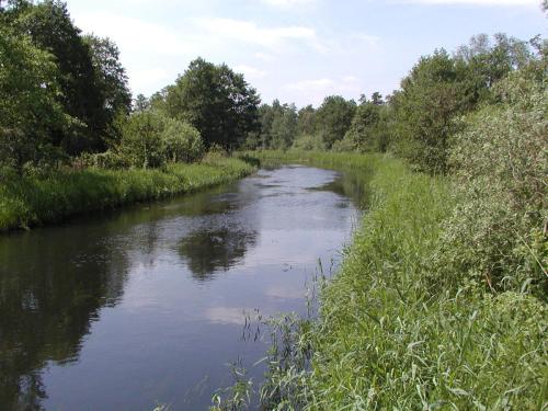a river with grass and trees on the side at Gästehaus Pension Heß - Das kleine Hotel in Güstrow