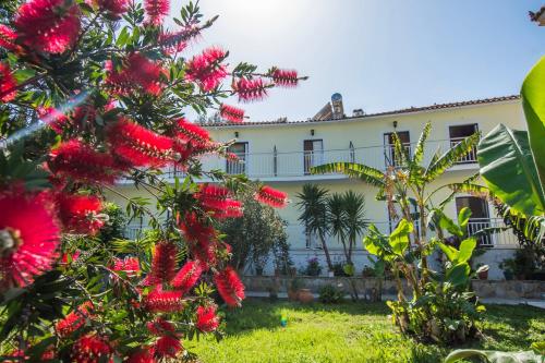 Gallery image of Theodora Studios in Argasi