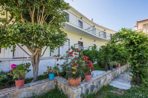 Gallery image of Theodora Studios in Argasi