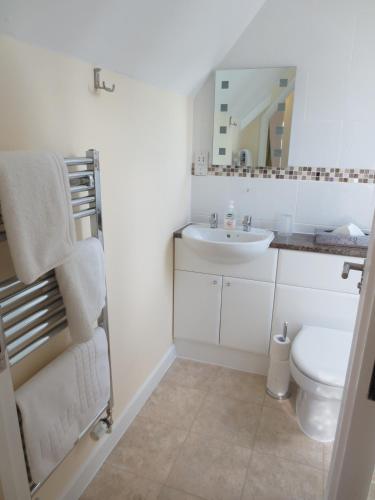 a bathroom with a sink and a toilet and a mirror at Oxford Apartments 2 in Oxford