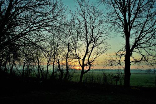 Afbeelding uit fotogalerij van Vita Nova in Hippolytushoef
