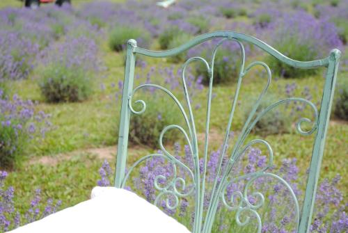 a metal object in front of a field of purple flowers at Lavender Village in Kiemeliai