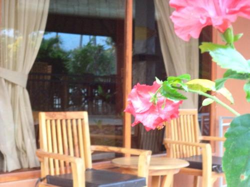 Сад в Hotel My Lovina