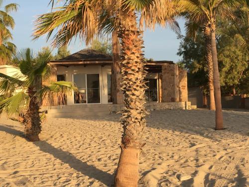a palm tree in front of a house at Hotel Rancho Buenavista in Los Barriles