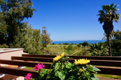 Φυσικό τοπίο κοντά σε αυτό το bed & breakfast