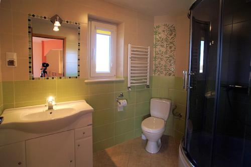 a bathroom with a sink and a toilet and a mirror at Agroturystka Na Polanie in Święta Katarzyna