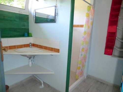 een badkamer met een wastafel en een spiegel bij Les Hébergements Nature et Bien-être in Soustons