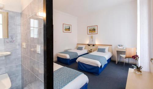 - une chambre d'hôtel avec 2 lits et une douche dans l'établissement Hôtel Aneto, à Lourdes