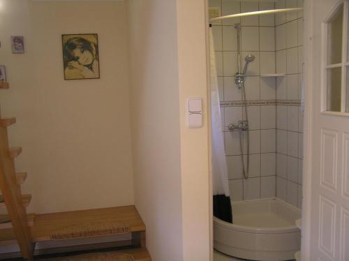 y baño con aseo y ducha. en Domek pod Klonami na Mazurach, en Guty