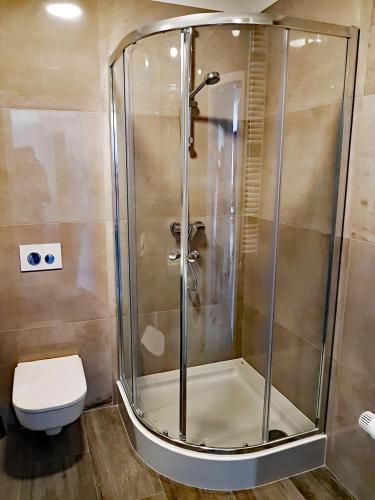 a shower stall in a bathroom with a toilet at CCH Elephant Apartments in Poznań