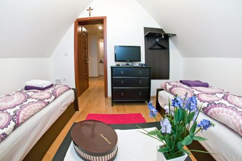 a small room with two beds and a tv at Miodowy Zakątek in Łabowa