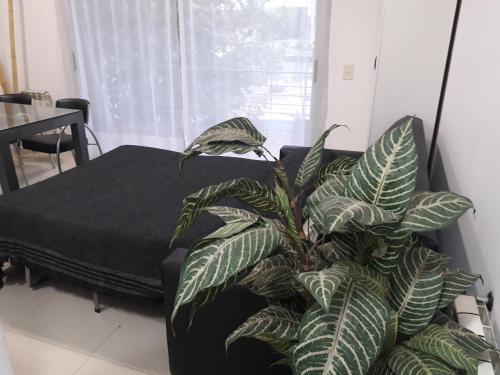 una planta sentada junto a una cama en una habitación en Departamento En Tigre en Tigre