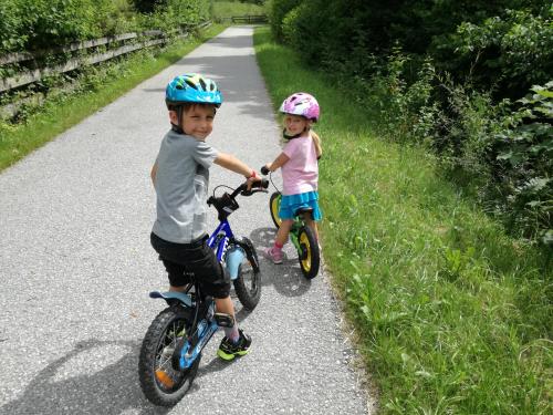 two young children riding bikes on a road at Appartement Fritzenwallner in Wagrain