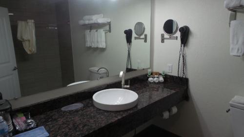 un baño con lavabo y espejo en Budget Inn Palmyra, en Palmyra